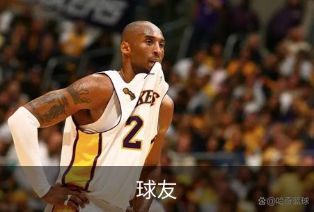 走进球友
