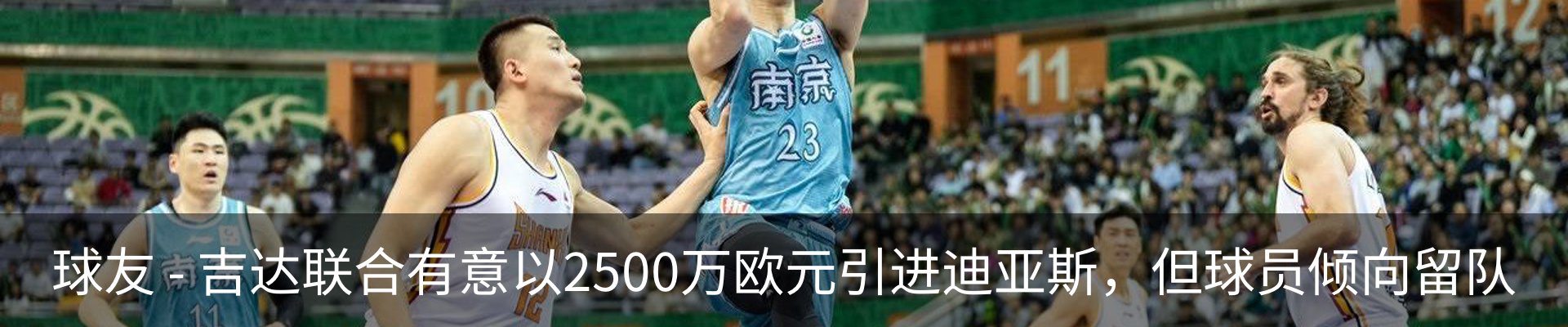 新闻动态